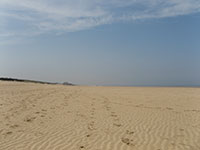 Beaches
